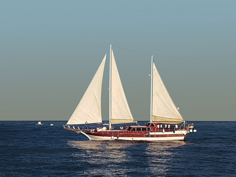 Sailing on the Sea of Cortes